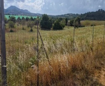 Venta Terrenos Manacor