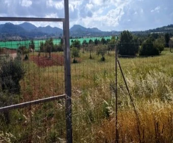 Venta Terrenos Manacor