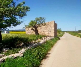 Venta Terrenos Porreres