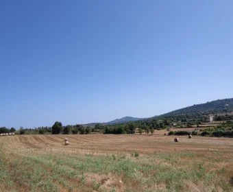 Venta Terrenos Manacor