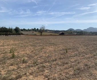 Venta Terrenos Manacor