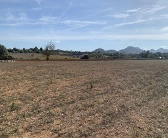 Venta Terrenos Manacor