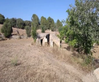 Sale Rustic houses Son Servera