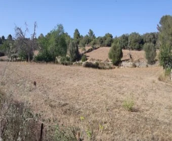 Sale Rustic houses Son Servera