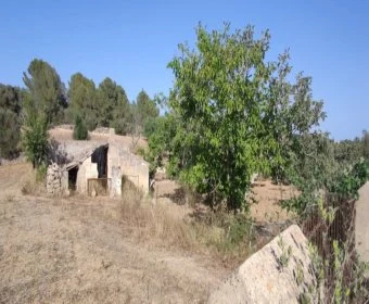 Sale Rustic houses Son Servera