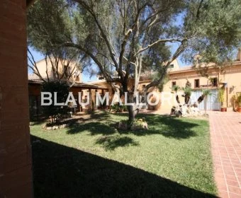 Sale Rustic houses Petra