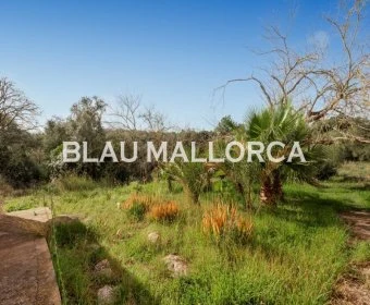 Sale Rustic houses Artá