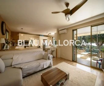 Venta Casas Rústicas Sa Rapita