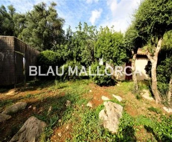 Sale Hotels Font de Sa Cala