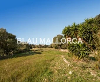 Sale Rustic houses Artá