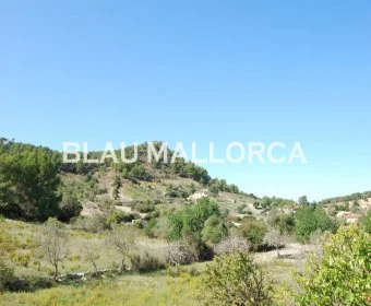 Sale Rustic houses Son Macia