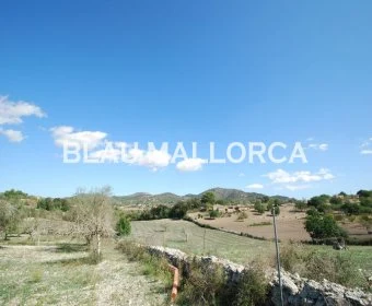 Sale Rustic houses Son Macia