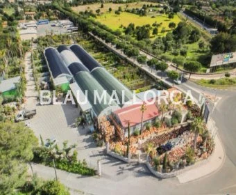 Sale Rustic houses Son Servera