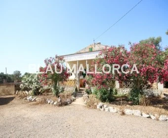 Verkauf Rustikale Häuser Vilafranca de Bonany