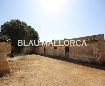 Verkauf Rustikale Häuser Vilafranca de Bonany