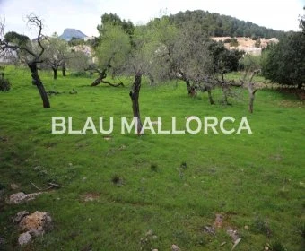 Verkauf Städtische Grundstücke Cala Ratjada