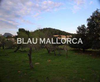 Verkauf Städtische Grundstücke Cala Ratjada