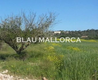 Venta Casas Rústicas Porreres