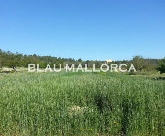 Venta Casas Rústicas Porreres