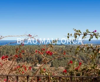 Venta Casas Rústicas Cala Murada