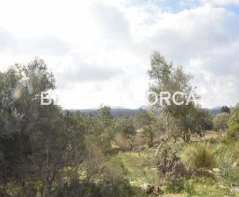 Sale Rustic houses Artá