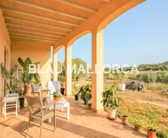 Sale Rustic houses Manacor