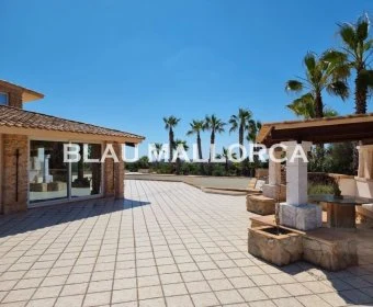 Sale Rustic houses Son Carrio