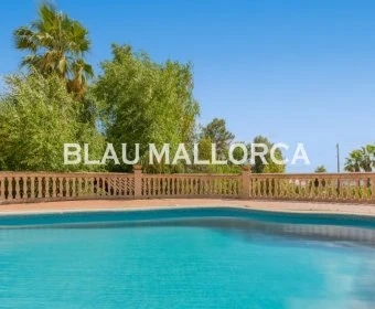 Sale Rustic houses Son Carrio