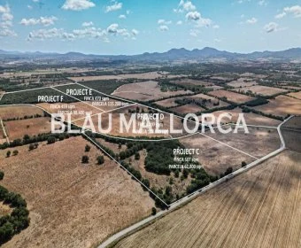 Verkauf landet Vilafranca de Bonany