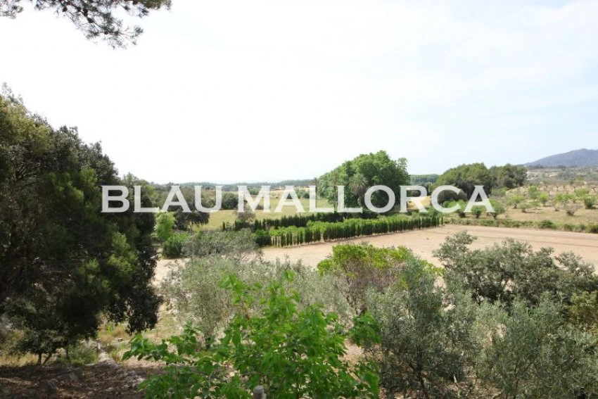 Sale Rustic houses Son Servera