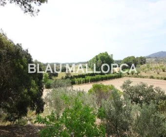 Sale Rustic houses Son Servera