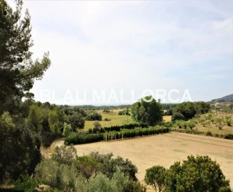 Sale Rustic houses Son Servera