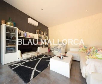 Venta Casas Sa Coma