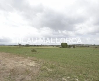 Sale Rustic houses Manacor