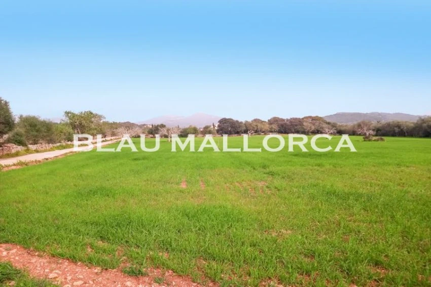 Sale Rustic houses Felanitx