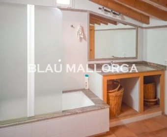 Sale Rustic houses Felanitx