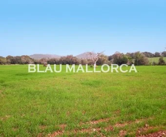 Sale Rustic houses Felanitx