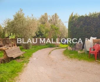 Sale Rustic houses Felanitx