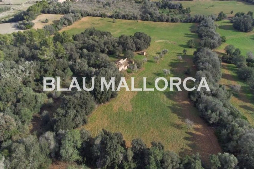 Sale Rustic houses Manacor