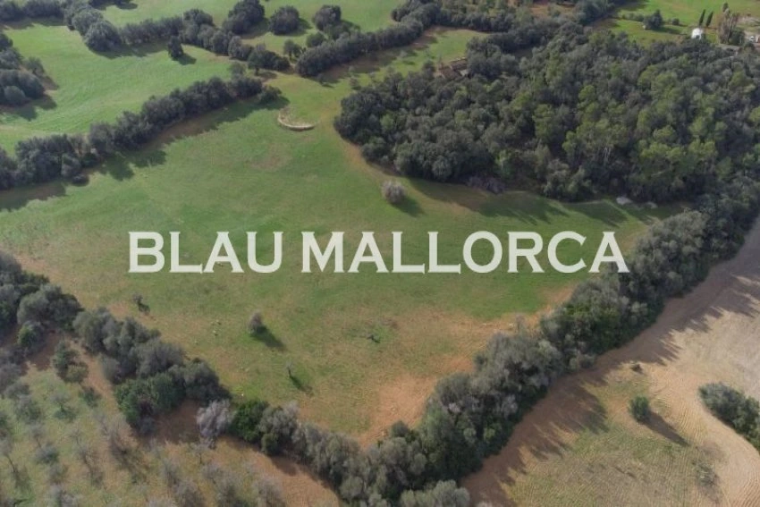 Sale Rustic houses Manacor