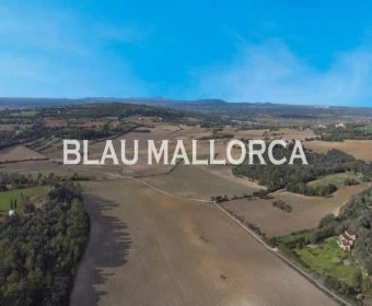 Sale Rustic houses Manacor