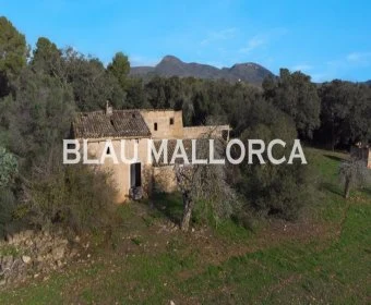 Sale Rustic houses Manacor