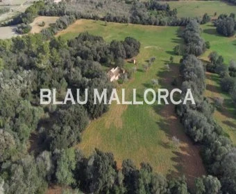 Sale Rustic houses Manacor