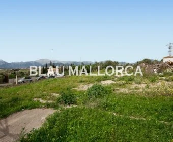 Venta Solares urbanos Muro