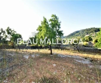 Venta Terrenos Son Servera