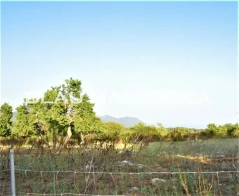 Venta Terrenos Son Servera