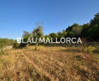 Venta Terrenos Son Servera