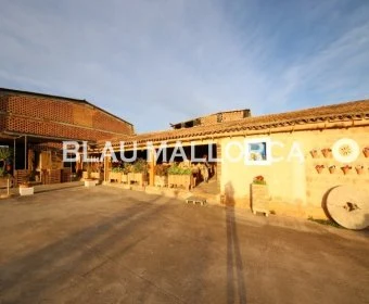Venta Locales Vilafranca de Bonany