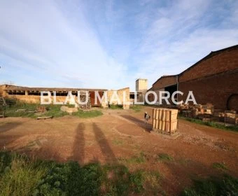 Venta Locales Vilafranca de Bonany