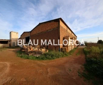 Venta Locales Vilafranca de Bonany